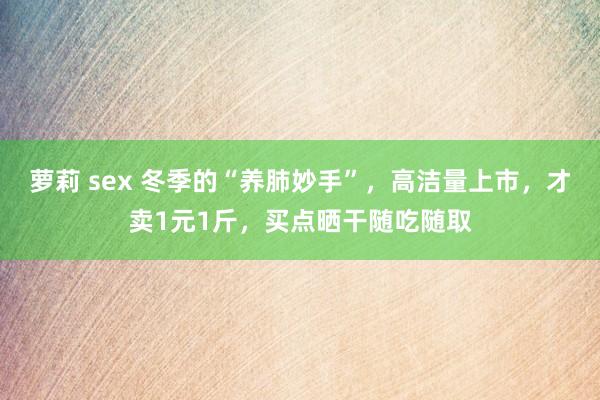 萝莉 sex 冬季的“养肺妙手”，高洁量上市，才卖1元1斤，买点晒干随吃随取