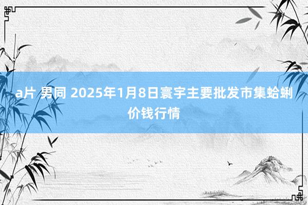 a片 男同 2025年1月8日寰宇主要批发市集蛤蜊价钱行情