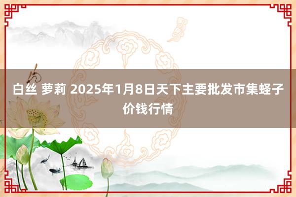 白丝 萝莉 2025年1月8日天下主要批发市集蛏子价钱行情
