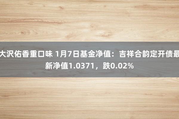 大沢佑香重口味 1月7日基金净值：吉祥合韵定开债最新净值1.0371，跌0.02%