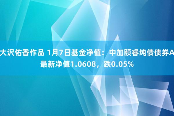 大沢佑香作品 1月7日基金净值：中加颐睿纯债债券A最新净值1.0608，跌0.05%