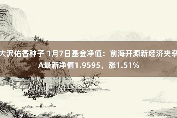 大沢佑香种子 1月7日基金净值：前海开源新经济夹杂A最新净值1.9595，涨1.51%