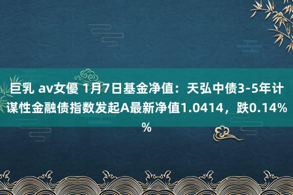 巨乳 av女優 1月7日基金净值：天弘中债3-5年计谋性金融债指数发起A最新净值1.0414，跌0.14%