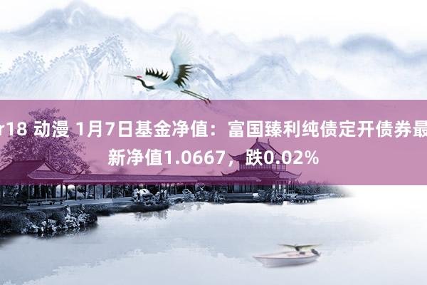 r18 动漫 1月7日基金净值：富国臻利纯债定开债券最新净值1.0667，跌0.02%