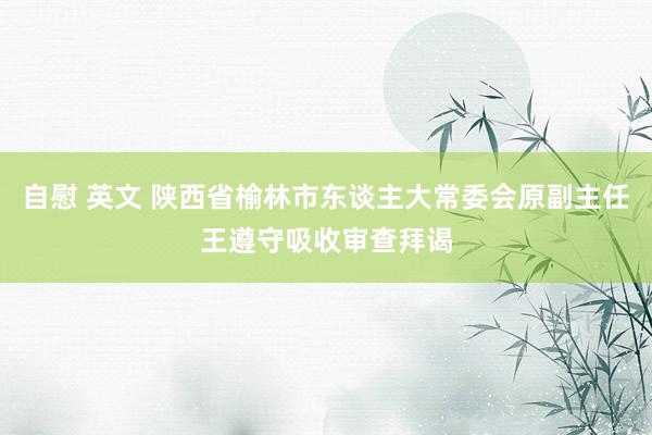 自慰 英文 陕西省榆林市东谈主大常委会原副主任王遵守吸收审查拜谒