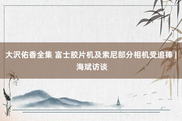 大沢佑香全集 富士胶片机及索尼部分相机受追捧 | 海斌访谈
