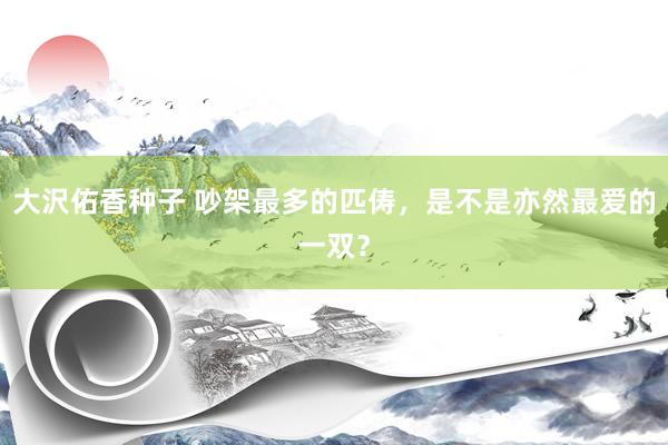大沢佑香种子 吵架最多的匹俦，是不是亦然最爱的一双？