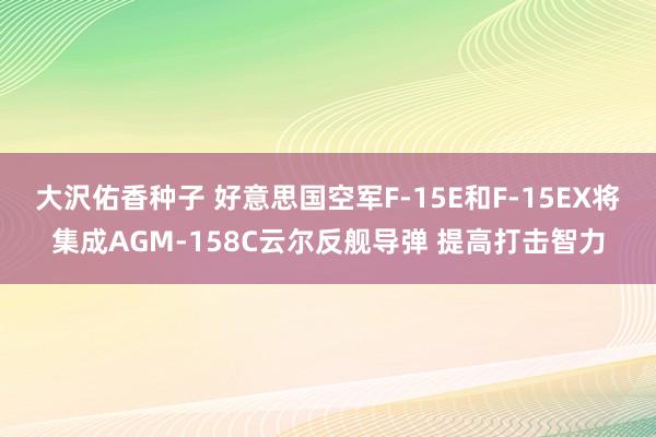 大沢佑香种子 好意思国空军F-15E和F-15EX将集成AGM-158C云尔反舰导弹 提高打击智力