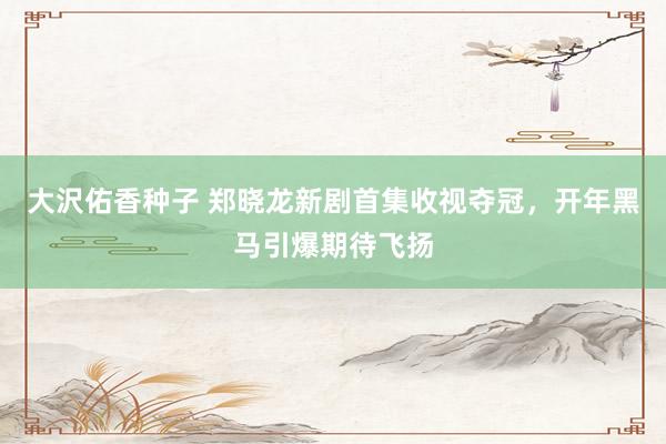 大沢佑香种子 郑晓龙新剧首集收视夺冠，开年黑马引爆期待飞扬