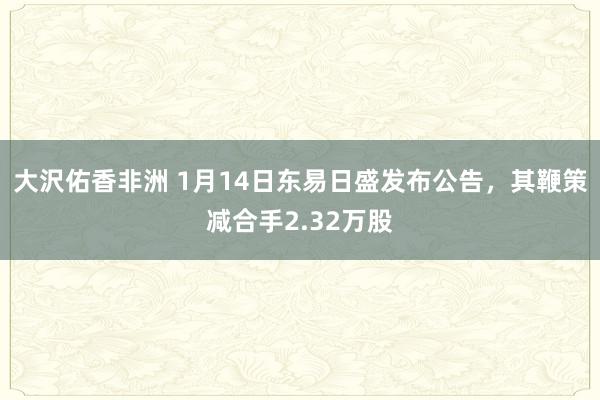 大沢佑香非洲 1月14日东易日盛发布公告，其鞭策减合手2.32万股