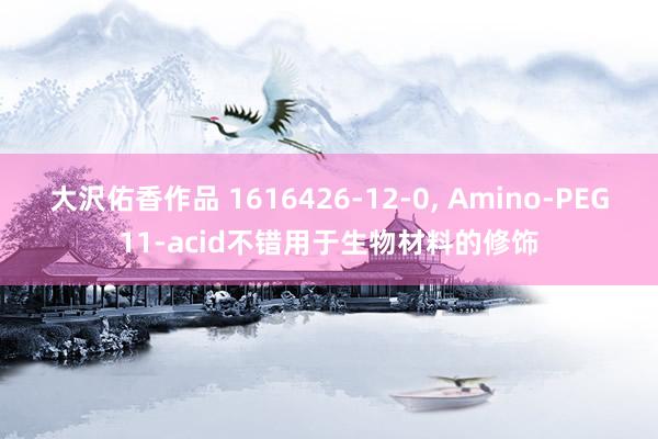 大沢佑香作品 1616426-12-0， Amino-PEG11-acid不错用于生物材料的修饰