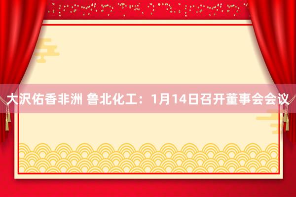 大沢佑香非洲 鲁北化工：1月14日召开董事会会议