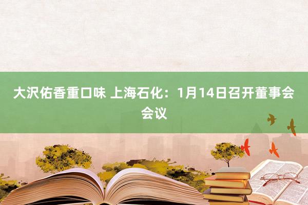 大沢佑香重口味 上海石化：1月14日召开董事会会议