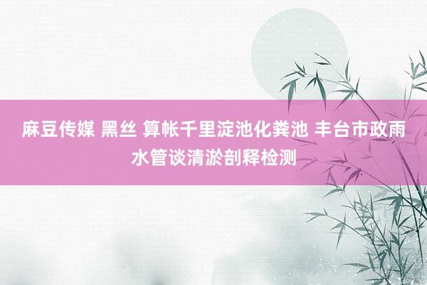 麻豆传媒 黑丝 算帐千里淀池化粪池 丰台市政雨水管谈清淤剖释检测