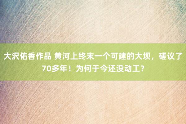 大沢佑香作品 黄河上终末一个可建的大坝，磋议了70多年！为何于今还没动工？