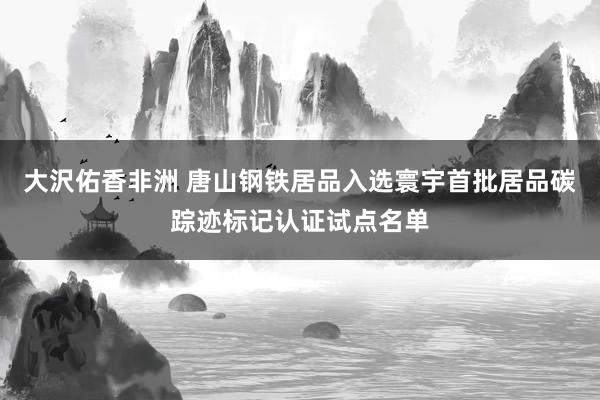 大沢佑香非洲 唐山钢铁居品入选寰宇首批居品碳踪迹标记认证试点名单