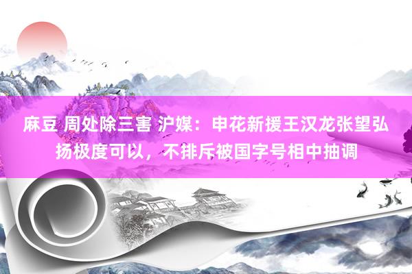 麻豆 周处除三害 沪媒：申花新援王汉龙张望弘扬极度可以，不排斥被国字号相中抽调