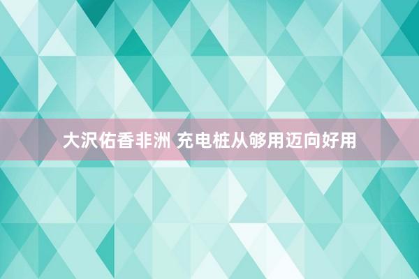 大沢佑香非洲 充电桩从够用迈向好用