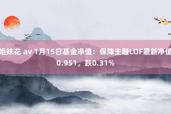 姐妹花 av 1月15日基金净值：保障主题LOF最新净值0.951，跌0.31%