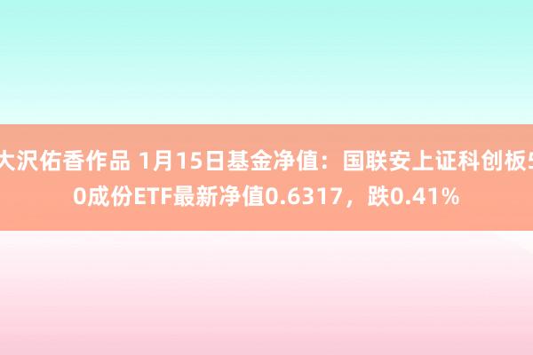 大沢佑香作品 1月15日基金净值：国联安上证科创板50成份ETF最新净值0.6317，跌0.41%