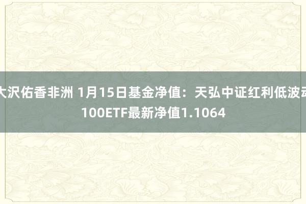 大沢佑香非洲 1月15日基金净值：天弘中证红利低波动100ETF最新净值1.1064
