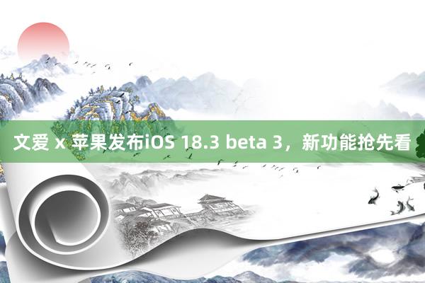文爱 x 苹果发布iOS 18.3 beta 3，新功能抢先看