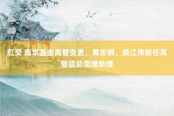 肛交 南华基金高管变更，黄志钢、颜江伟新任高管级总司理助理