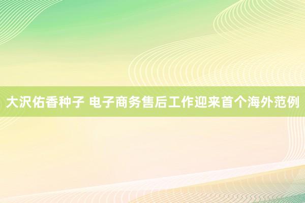 大沢佑香种子 电子商务售后工作迎来首个海外范例