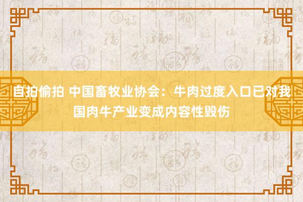 自拍偷拍 中国畜牧业协会：牛肉过度入口已对我国肉牛产业变成内容性毁伤