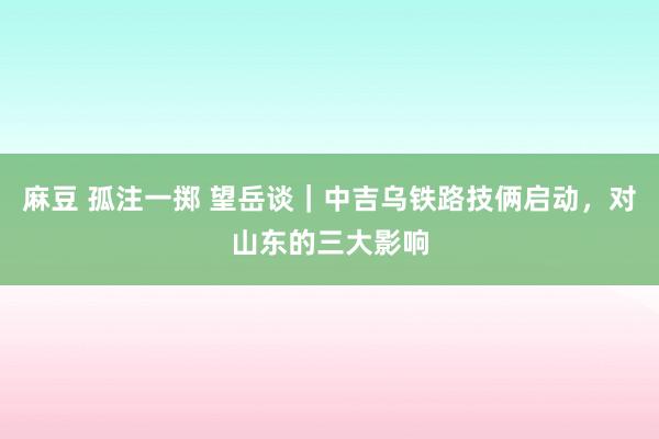 麻豆 孤注一掷 望岳谈｜中吉乌铁路技俩启动，对山东的三大影响