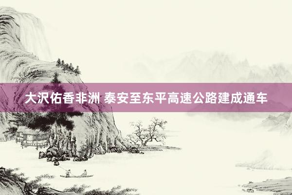 大沢佑香非洲 泰安至东平高速公路建成通车