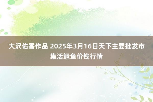 大沢佑香作品 2025年3月16日天下主要批发市集活鳜鱼价钱行情