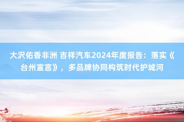 大沢佑香非洲 吉祥汽车2024年度报告：落实《台州宣言》，多品牌协同构筑时代护城河