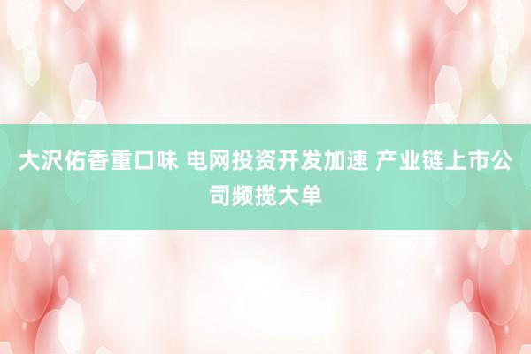 大沢佑香重口味 电网投资开发加速 产业链上市公司频揽大单