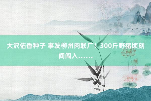 大沢佑香种子 事发柳州肉联厂！300斤野猪顷刻间闯入……