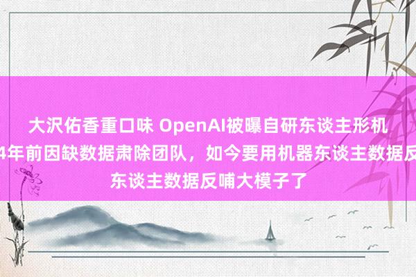 大沢佑香重口味 OpenAI被曝自研东谈主形机器东谈主，4年前因缺数据肃除团队，如今要用机器东谈主数据反哺大模子了