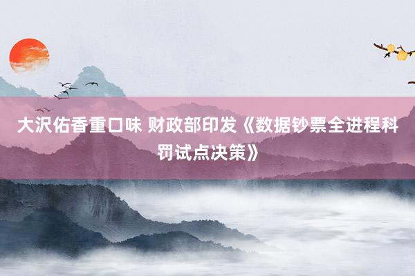 大沢佑香重口味 财政部印发《数据钞票全进程科罚试点决策》
