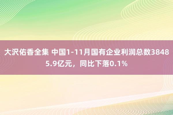 大沢佑香全集 中国1-11月国有企业利润总数38485.9亿元，同比下落0.1%