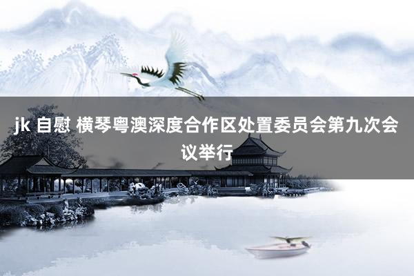 jk 自慰 横琴粤澳深度合作区处置委员会第九次会议举行