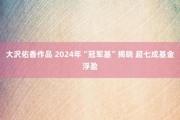 大沢佑香作品 2024年“冠军基”揭晓 超七成基金浮盈