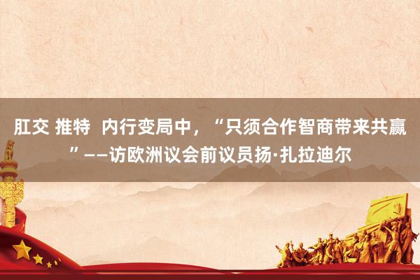 肛交 推特  内行变局中，“只须合作智商带来共赢”——访欧洲议会前议员扬·扎拉迪尔
