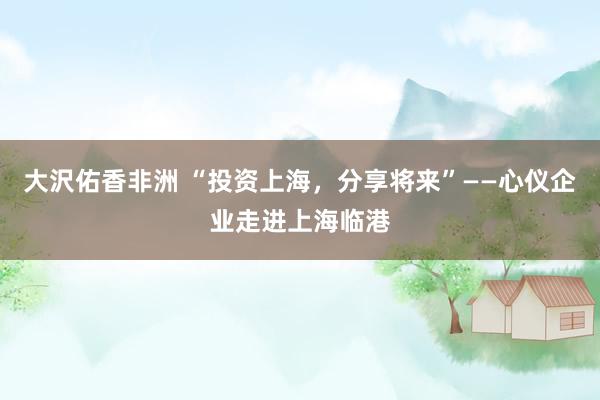 大沢佑香非洲 “投资上海，分享将来”——心仪企业走进上海临港