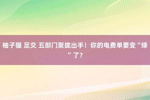 柚子猫 足交 五部门聚拢出手！你的电费单要变“绿”了？