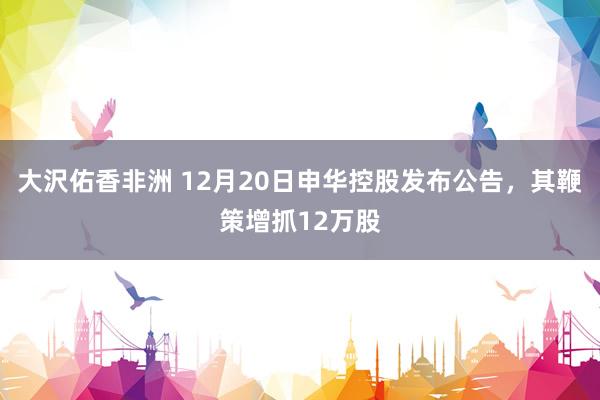 大沢佑香非洲 12月20日申华控股发布公告，其鞭策增抓12万股
