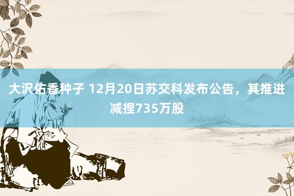 大沢佑香种子 12月20日苏交科发布公告，其推进减捏735万股