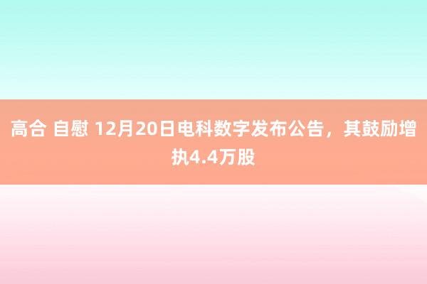 高合 自慰 12月20日电科数字发布公告，其鼓励增执4.4万股