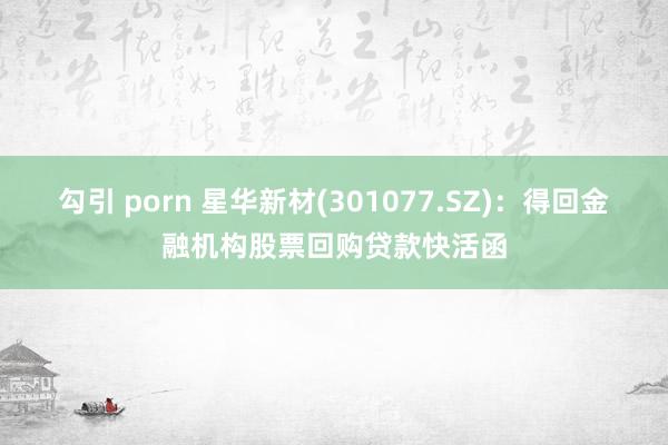 勾引 porn 星华新材(301077.SZ)：得回金融机构股票回购贷款快活函