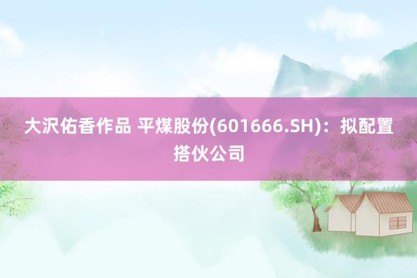 大沢佑香作品 平煤股份(601666.SH)：拟配置搭伙公司