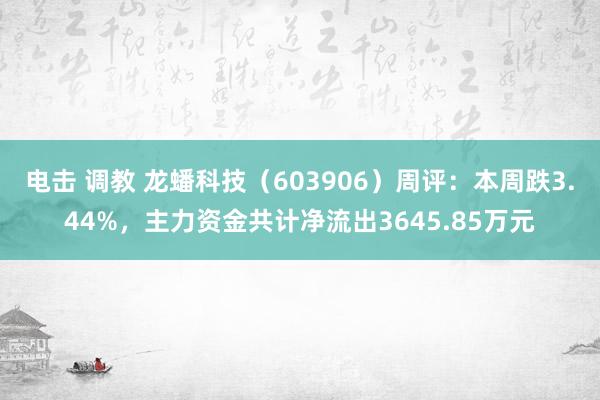 电击 调教 龙蟠科技（603906）周评：本周跌3.44%，主力资金共计净流出3645.85万元