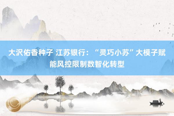 大沢佑香种子 江苏银行：“灵巧小苏”大模子赋能风控限制数智化转型